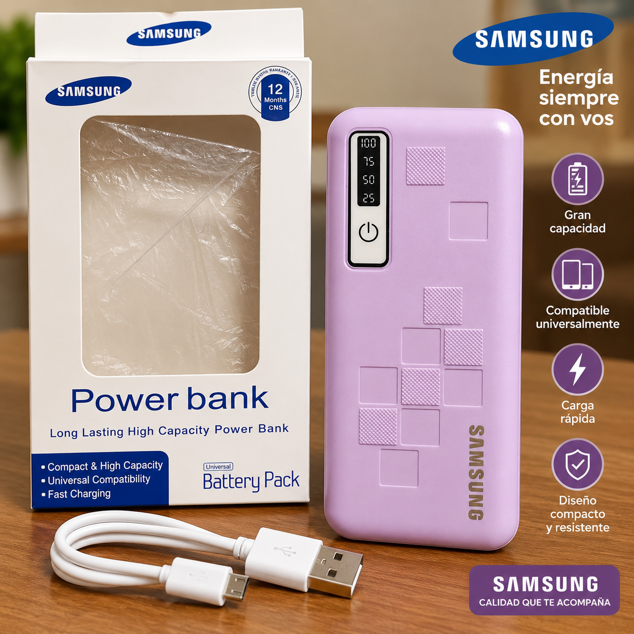 Power Bank